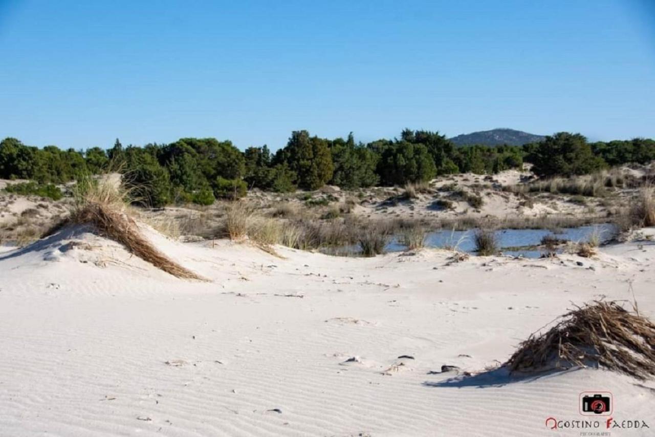 Casa Vacanza Le Dune Villa SantʼAnna Arresi Kültér fotó